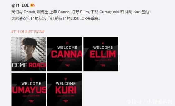 的机会或许 的机会或许