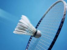 政府在保护 政府在保护