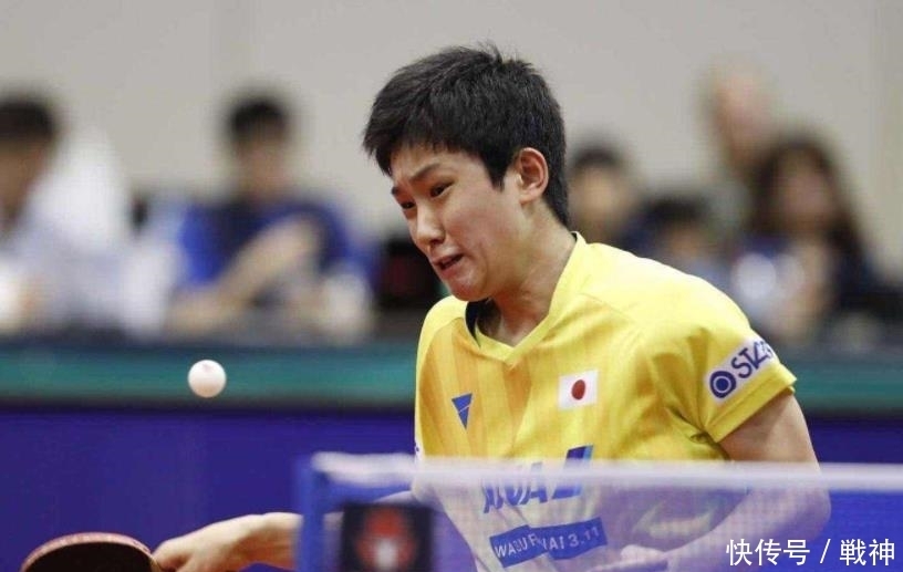 的搭配上已 的搭配上已